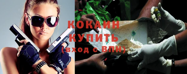 mix Бородино