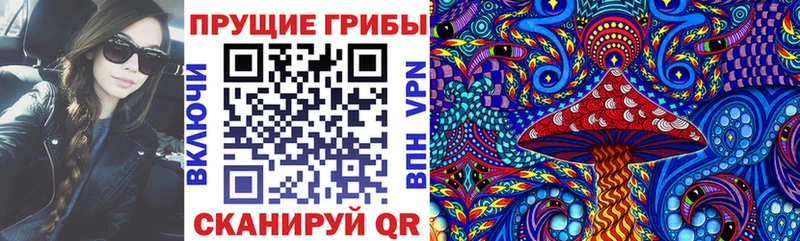 Галлюциногенные грибы MAGIC MUSHROOMS  Гороховец 